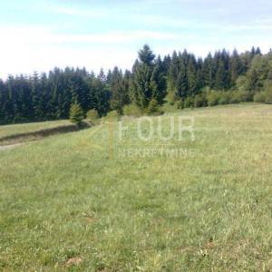 Gorski kotar, Ravna Gora - okolica, zemljište 4.193m2 - dio građevinski