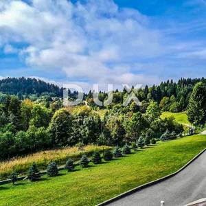 GORSKI KOTAR, RAVNA GORA - Predivna kuća za odmor, na osami s 5.474m2 ograđenog zemljišta