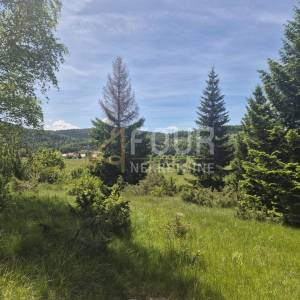Gorski kotar, Ravna Gora, poljoprivredno zemljište 11.500m2