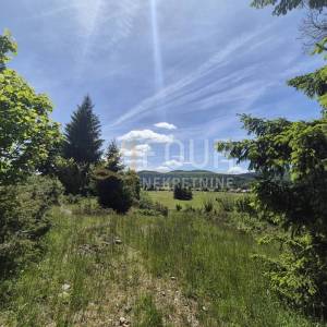 Gorski kotar, Ravna Gora, poljoprivredno zemljište 11.500m2