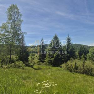 Gorski kotar, Ravna Gora, poljoprivredno zemljište 11.500m2