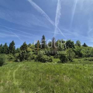 Gorski kotar, Ravna Gora, poljoprivredno zemljište 11.500m2