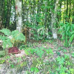 Gorski kotar, Skrad, poljoprivredno zemljište 1.398m2