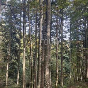 Gorski kotar, Stari Laz, poljoprivredno zemljište, 6.729m2