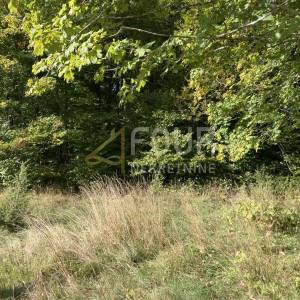 Gorski kotar, Stari Laz, zemljište od 3.972m2 od čega je 1.400m2 građevinski dio