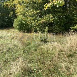 Gorski kotar, Stari Laz, zemljište od 3.972m2 od čega je 1.400m2 građevinski dio