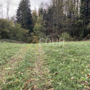 Gorski kotar, Vrbovsko, 16.057m2 - građevinski dio od 3.000m2