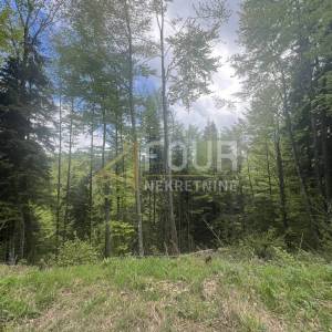 Gorski kotar, Vrbovsko, poljoprivredno zemljište 18.987m2