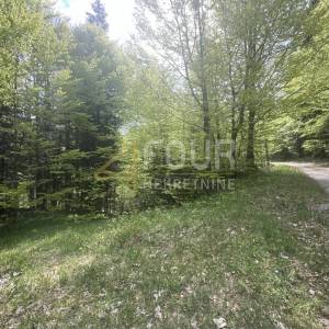 Gorski kotar, Vrbovsko, poljoprivredno zemljište 18.987m2