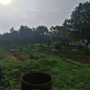 Građevinski teren sa 3 manja legalizirana objekta. Vareški.