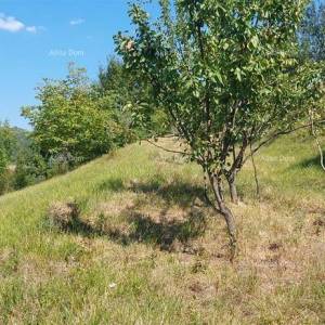 Građevinsko i poljoprivredno zemljište u Butonigi!