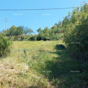 Građevinsko i poljoprivredno zemljište u Butonigi!