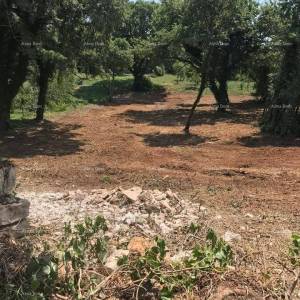 Građevinsko zemljište 1.137 m² – Filipana