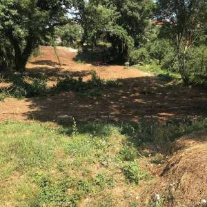 Građevinsko zemljište 1.137 m² – Filipana