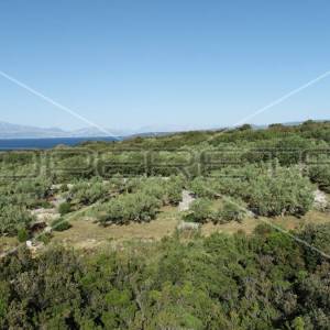 Građevinsko zemljište, 2.709 m2, M1 namjena, pogled na more, Nečujam, otok Šolta