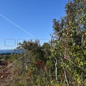 Građevinsko zemljište, 2.709 m2, M1 namjena, pogled na more, Nečujam, otok Šolta