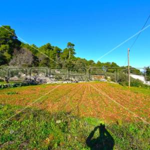 Građevinsko zemljište 3112 m2, Dol, otok Hvar