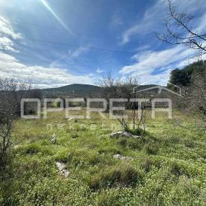 Građevinsko zemljište 3654 m² u Dubravi, moguća parcelizacija.
