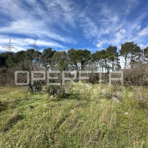 Građevinsko zemljište 3654 m² u Dubravi, moguća parcelizacija.
