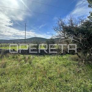Građevinsko zemljište 3654 m² u Dubravi, moguća parcelizacija.
