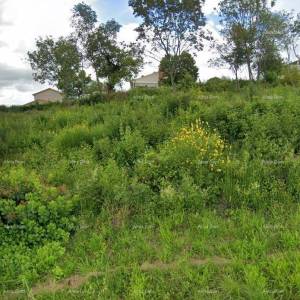 Građevinsko zemljište 924 m² – Labin