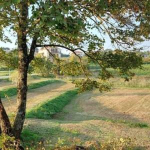 Građevinsko zemljište Pazin - 3.153m2