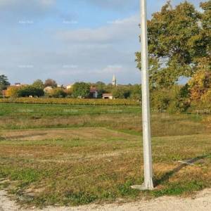 Građevinsko zemljište Pazin - 3.153m2