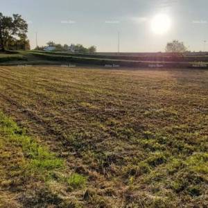 Građevinsko zemljište Pazin - 3.153m2