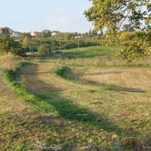 Građevinsko zemljište Pazin - 3.153m2