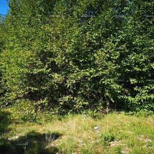 Građevinsko zemljište Rabac