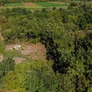 Građevinsko zemljište s dozvolom i započetom gradnjom u Svetvinčentu, 586 m²
