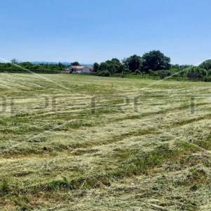 Građevinsko zemljište s projektom (Kuća za odmor)