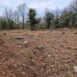 Heraki, Sveti Lovreč, 1.350,00 m2, 195.000,00 EUR