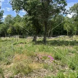 Heraki, Sveti Lovreč, 1.350,00 m2, 195.000,00 EUR