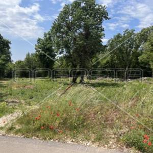 Heraki, Sveti Lovreč, 1.350,00 m2, 195.000,00 EUR
