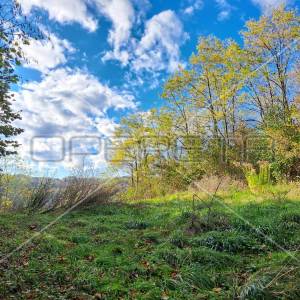 Hrebine , Hrebine, 2.877,00 m2, 39.000,00 EUR