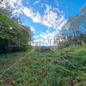 Hrebine , Hrebine, 2.877,00 m2, 39.000,00 EUR