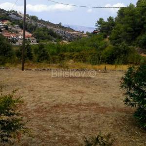 Hvar, blizina Jelse, poljoprivredno zemljište površine, blizina uvale
