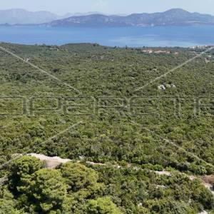 Impresivno Poljoprivredno Zemljište od 46.244m2 s Pogledom na More u Sreseru/Jan