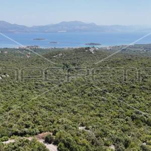 Impresivno Poljoprivredno Zemljište od 46.244m2 s Pogledom na More u Sreseru/Jan