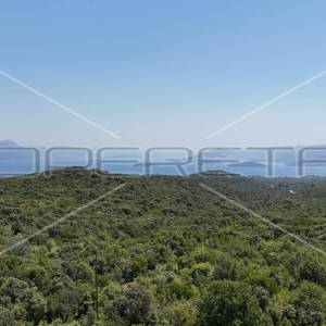 Impresivno Poljoprivredno Zemljište od 46.244m2 s Pogledom na More u Sreseru/Jan