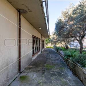 Investicija, kuća sa poslovnim prostorom, Žrnovska Banja, otok Korčula