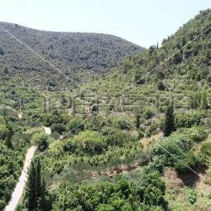 Investicija u Prirodi – Poljoprivredno Zemljište od 762m2 na Korčuli