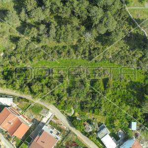 INVESTICIJA, zemljište stambene namjene, pogled, 3.431 m2, Diklo-Zadar