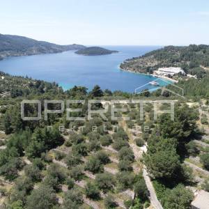 Investicijska Prilika – Građevinsko Zemljište od 1355m2, Vela Luka, Korčula