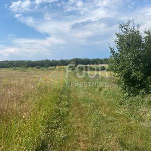 Istra, Baderna, poljoprivredno zemljište 53.691m2