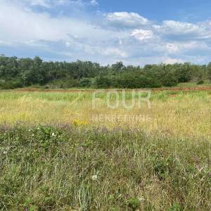 Istra, Baderna, poljoprivredno zemljište 53.691m2