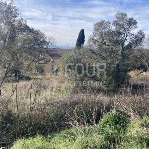 Istra, Bale, građevinsko zemljište 1.637m2