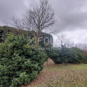 Istra, Bale - okolica, kamena ruševina na parceli od 7.801m2