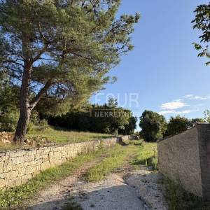 Istra, Bale - okolica, poljoprivredno zemljište, 2.403m2